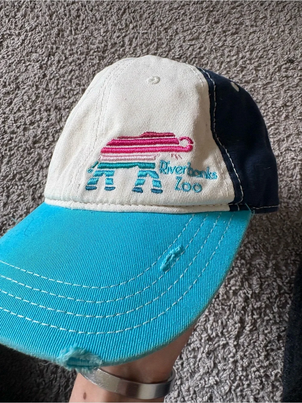 Vintage Turquoise and Navy Colorblock Baseball Cap with Embroidered Animal
